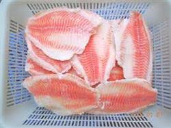 فروش انواع فیله ماهی تیلاپیا بسته بندی