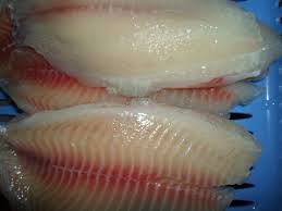 تولید گوشت ماهی تیلاپیا سوخاری وارداتی